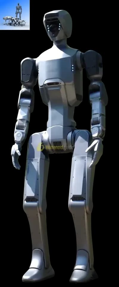 DR02