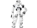 NAO V6