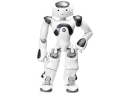 NAO V6