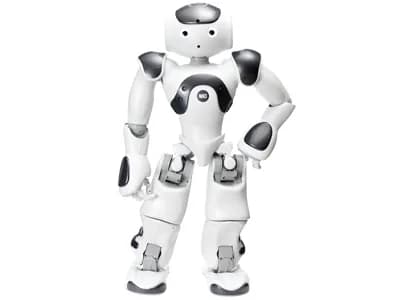 NAO V6