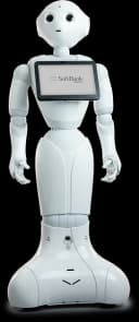 Pepper
