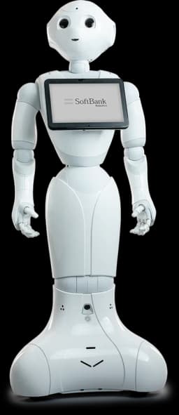 Pepper